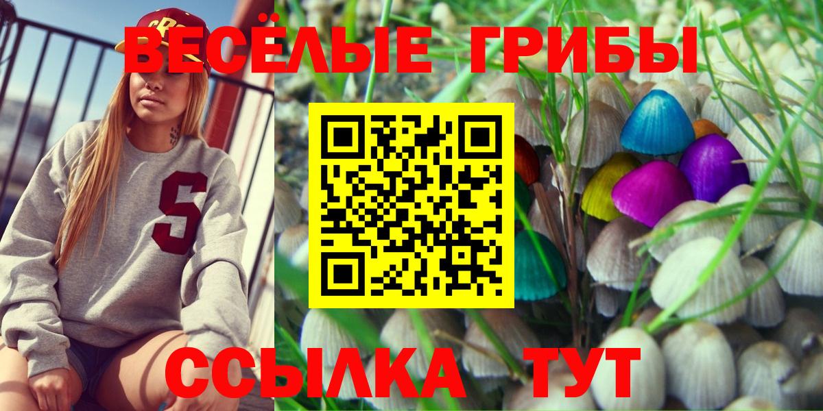 Галлюциногенные грибы Cubensis  Псилоцибиновые грибы прущие грибы  Вход с VPN  Ноябрьск 